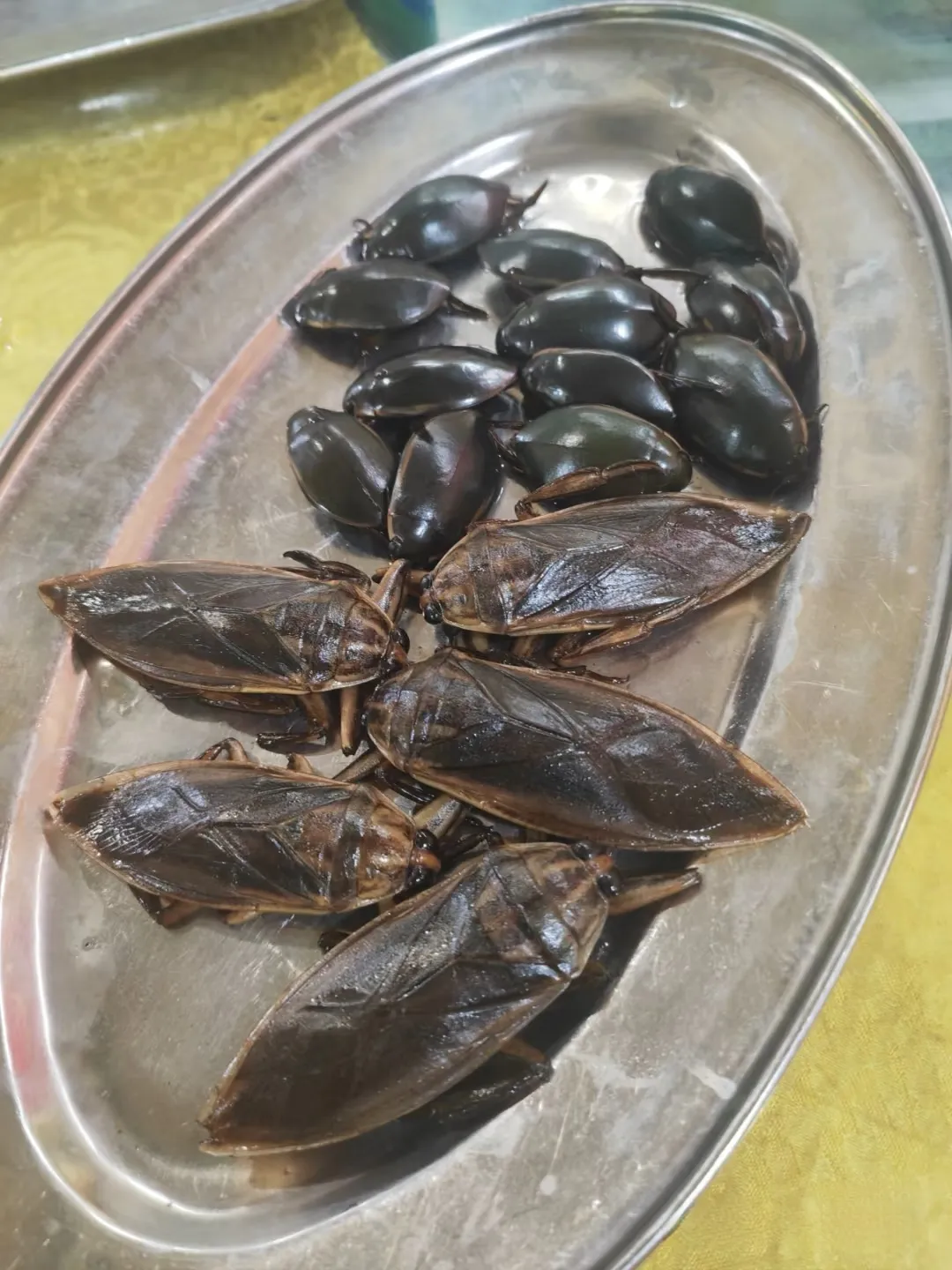 广东美食，可遇不可求！两种都是论只卖，猜猜哪个更贵？