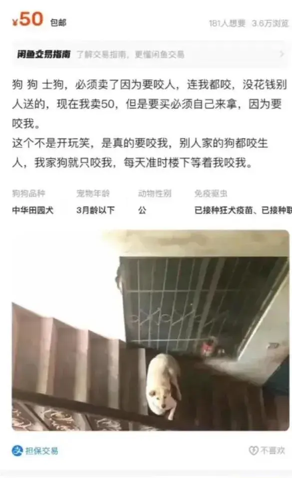 闲鱼浏览到的，笑死了！！