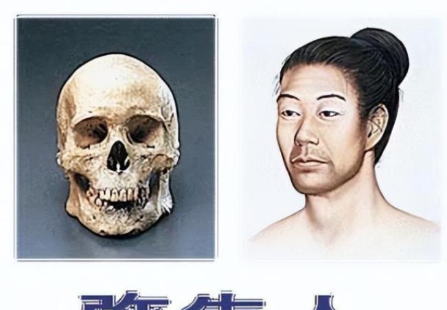 “日本人是不会承认自己是杂交人的！”5月2日，日本祖先真相大白：不是徐福后代，D