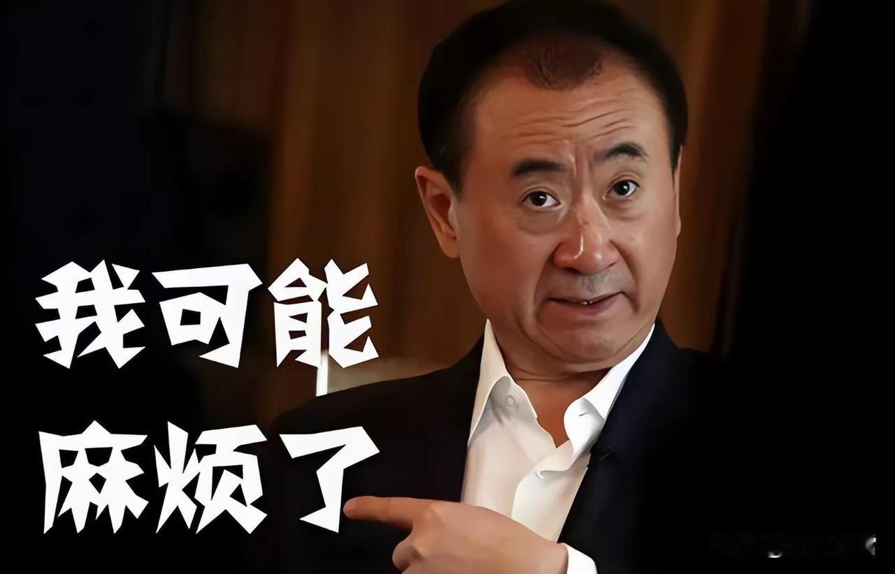 客观看待企业家：王健林与万达的商业启示。在企业发展过程中，王健林确实展现过雄心