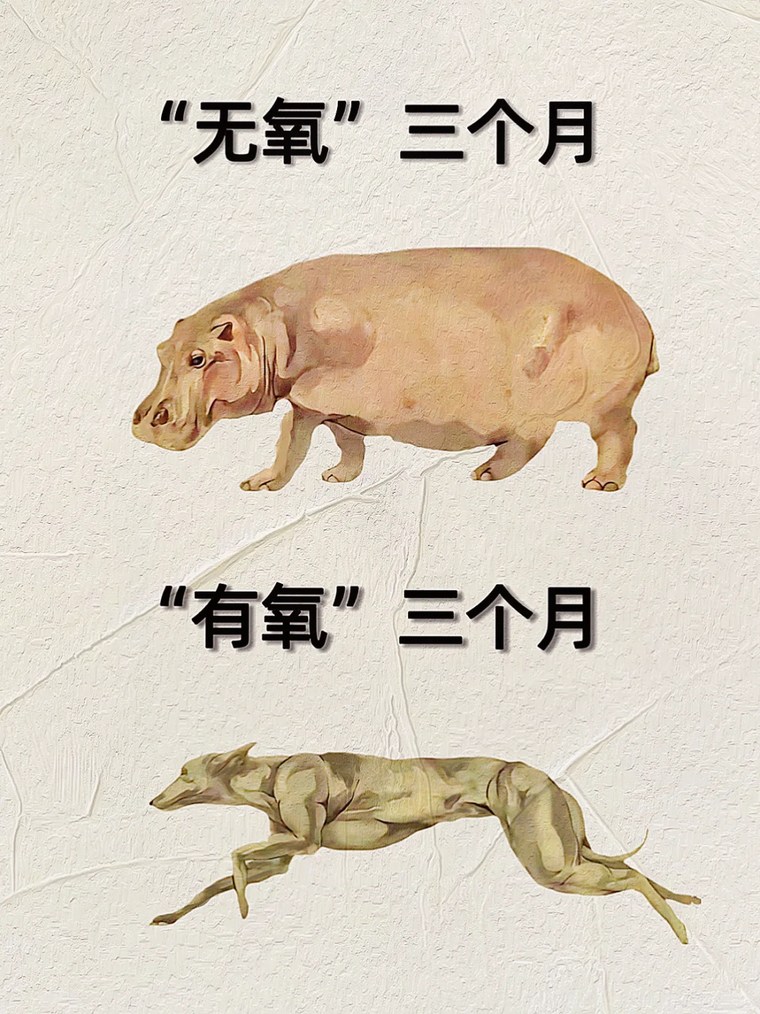 无氧三个月vs有氧三个月