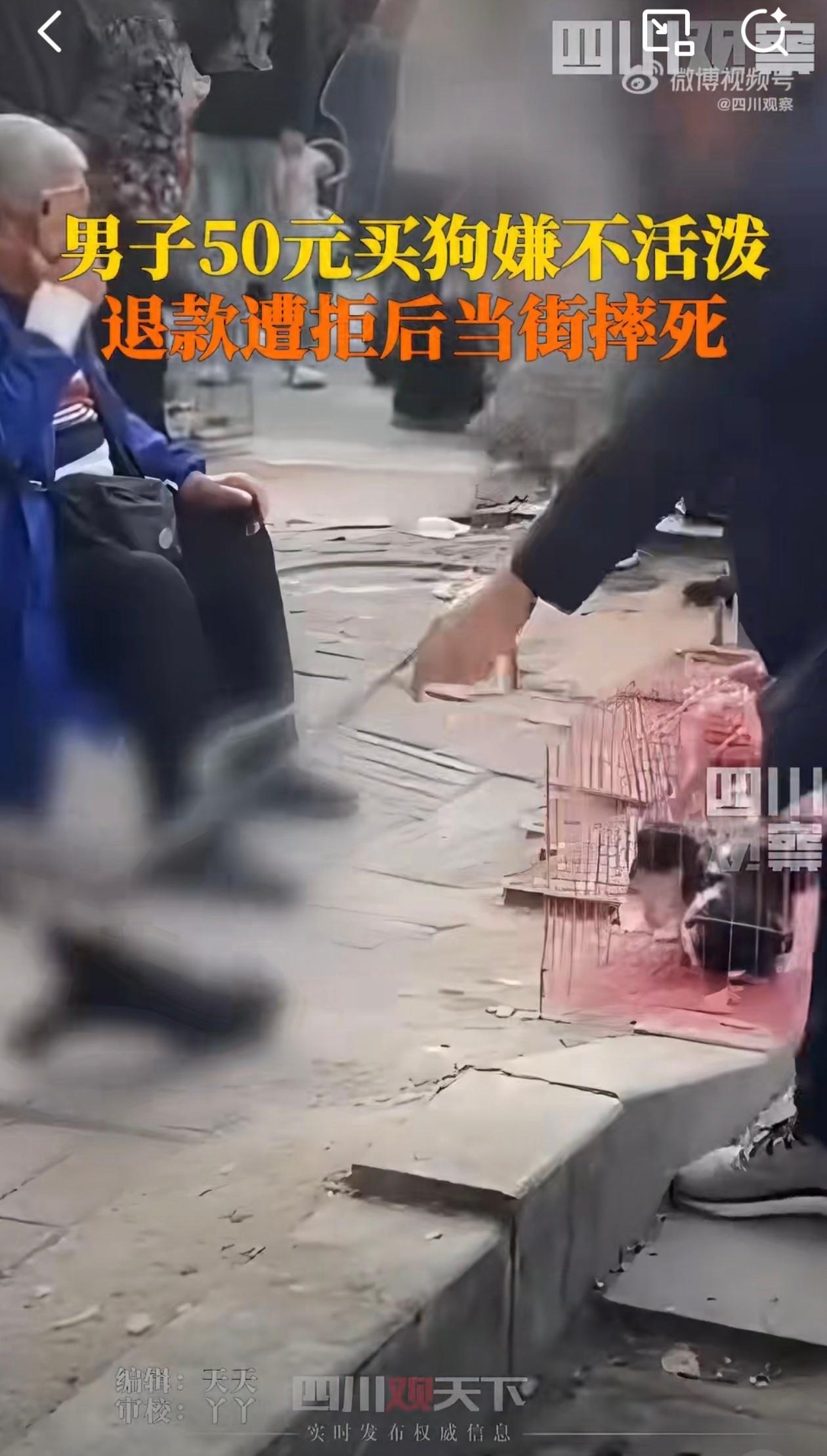 50块买狗退款被拒，直接把小狗摔死，这事儿真的气到让人说不出话！街头一位老人