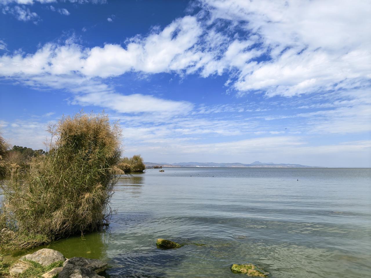 打卡南滇池湿地国家公园！它应该是昆明最大的湿地公园，占地超过1200公顷。现