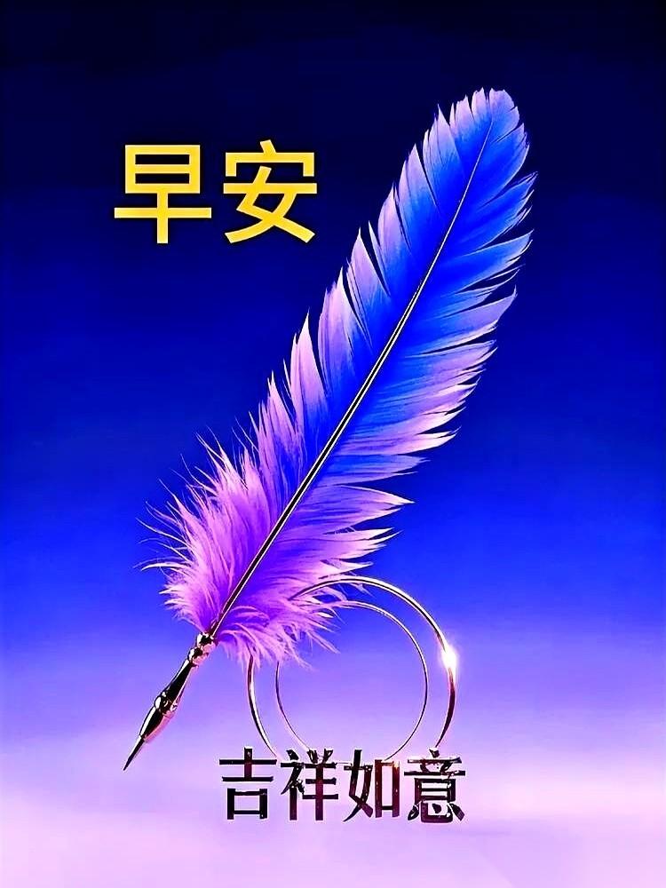 朋友圈的早安，真是越来越卷了。配图要精致，文案要高级，恨不得每个字都闪着金光，