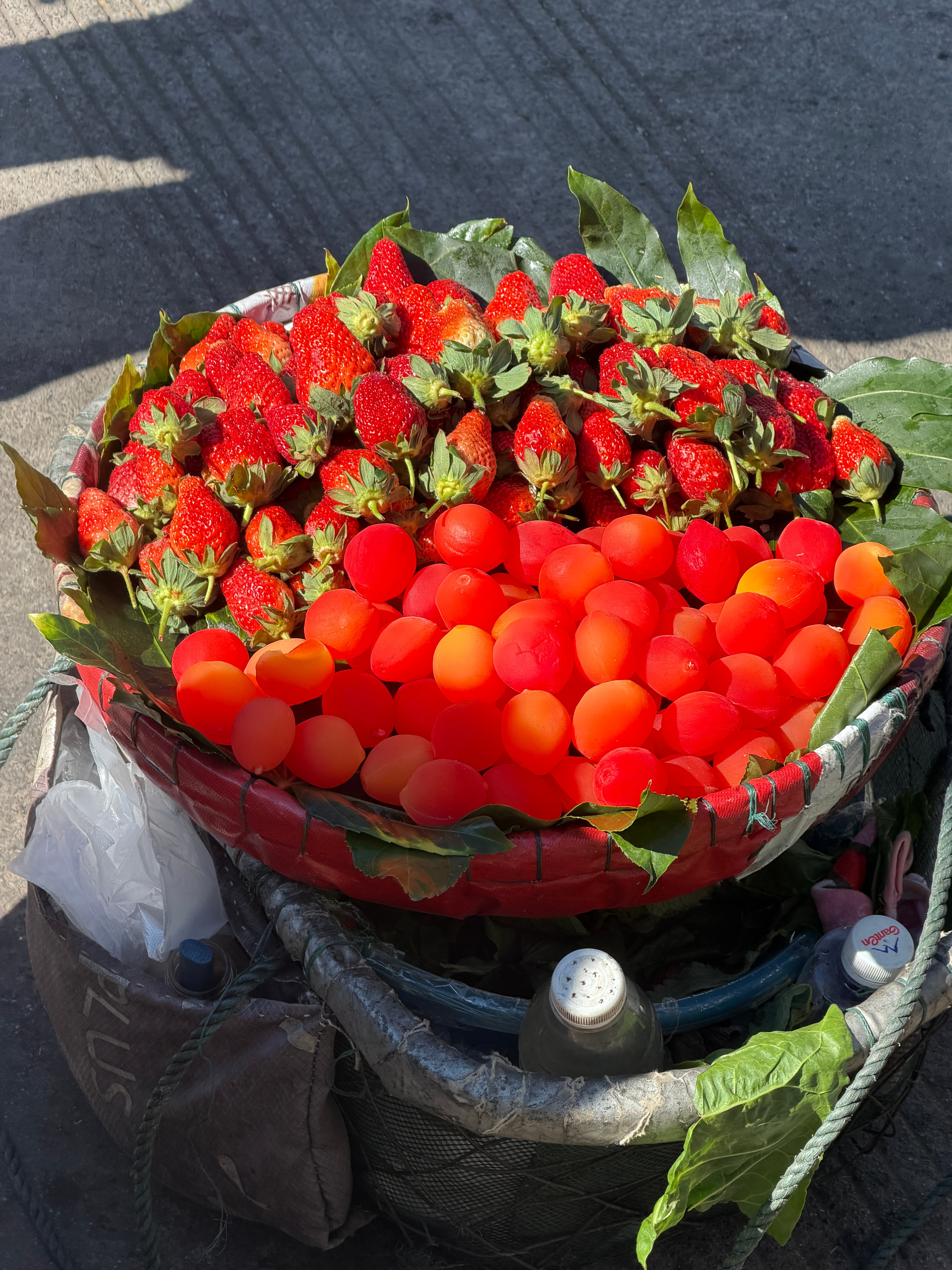 重庆的哈儿果卖到了洱海边、问了下价格比重庆卖的还贵