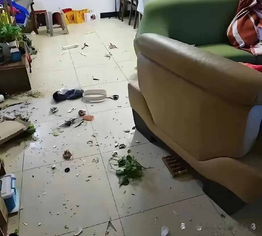 昨晚十点多，我正准备睡觉，儿媳妇一个电话打过来，语气特别冲，让我立刻过去。我说太