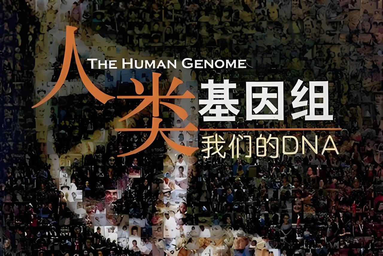 1993年9月28日，中国人类基因组研究正式启动。这一天，由国家自然科学基金委员