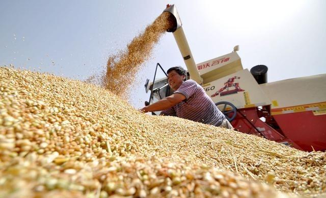 如果全球都停止出口粮食，中国能否自给自足？到了2026年4月，这个问题已经不