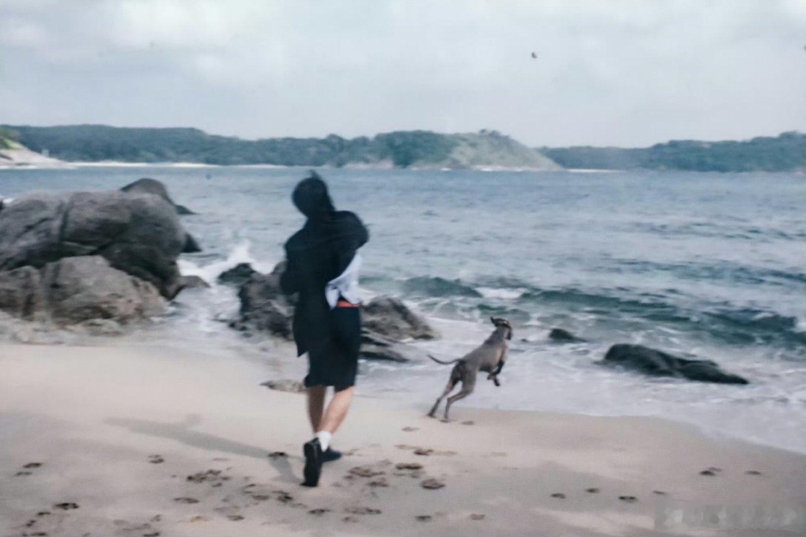 易烊千玺与狗狗海边狂欢想做一只狗，被易烊千玺捡走