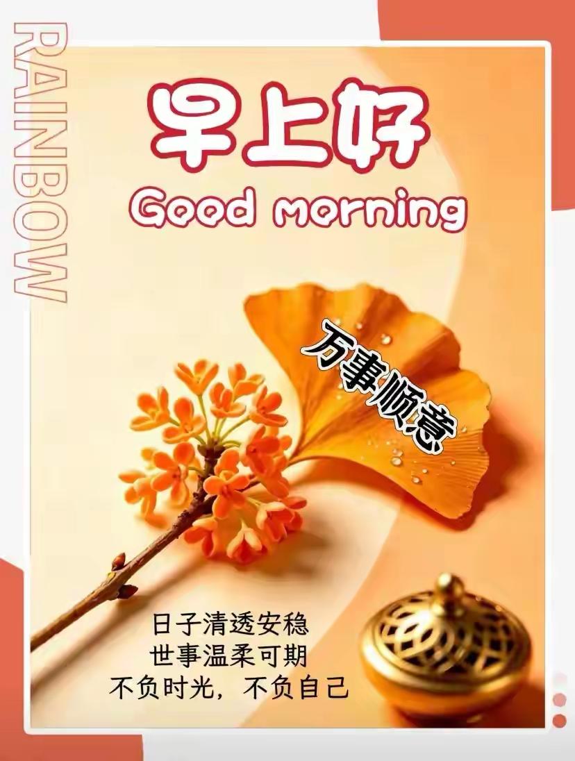 清晨的风，带着秋日淡淡的凉意✨一句简单的早安，没有华丽辞藻，却藏着一份真诚的