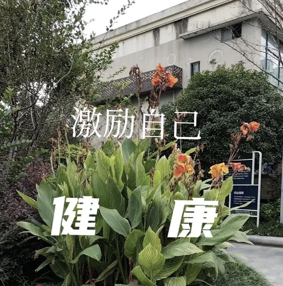 叶檀:我真的要感谢这场疾病。因为这场病，我见到了我的导师。之前我的眼睛是闭上的。