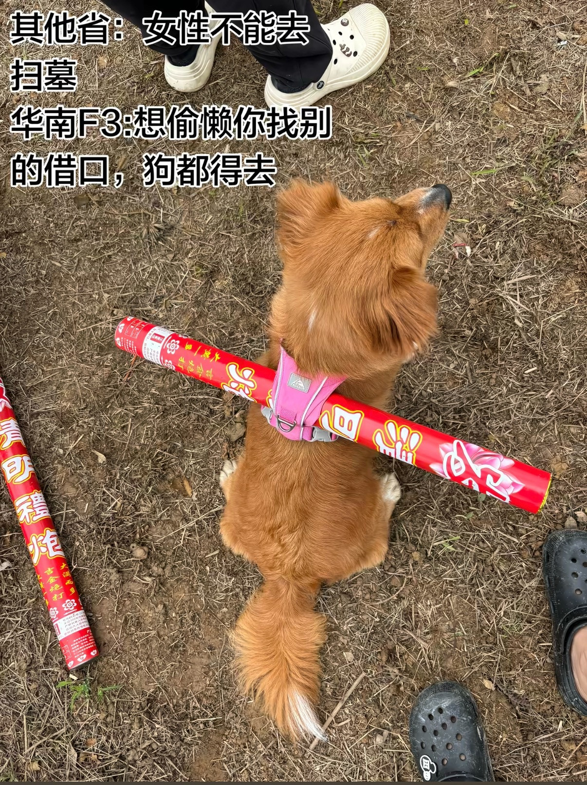 华南F3爬山涉水翻山越岭给太公们上香😀