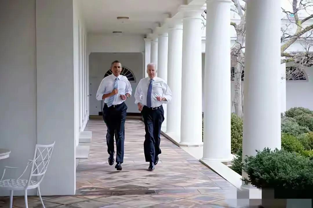 今天才知道奥巴马担任总统期间，拜登出任副总统，且这一任职长达八年。这八年的经历，