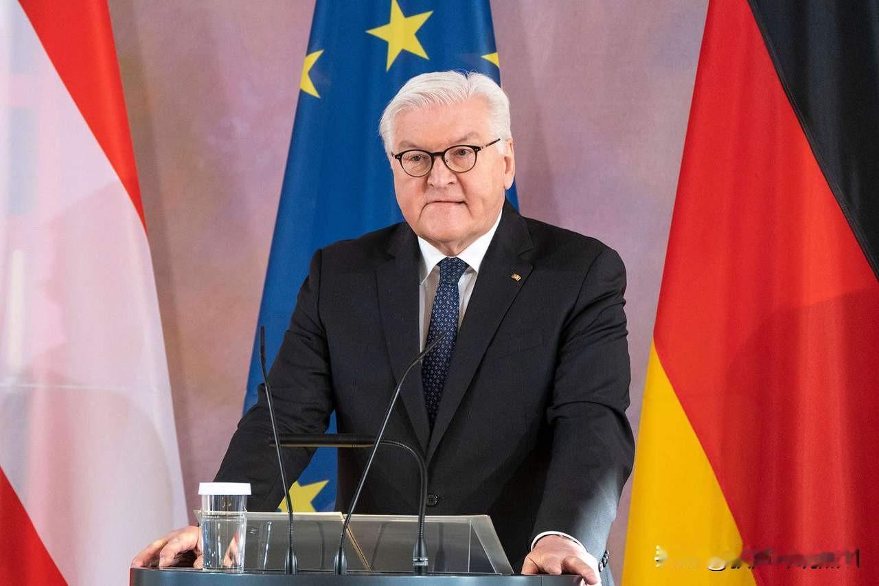 德国要出手了，整个欧盟都慌了，当特朗普说西半球美国说了算，要格陵兰岛的时候，德国