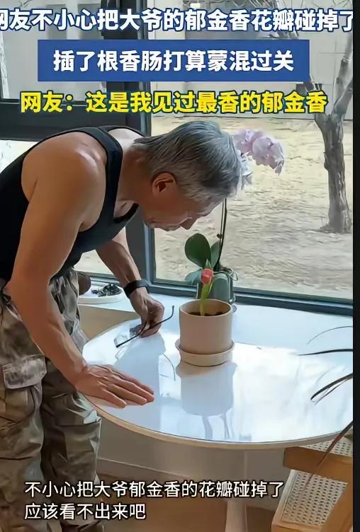 男子不小心把爷爷精心栽培的郁金香花朵给碰掉了。他知道爷爷非常宝贝这盆花，怕爷爷揍
