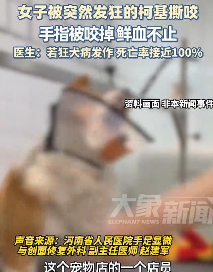 “太吓人了！”河南郑州，一22岁女子在宠物店给柯基洗澡时，没曾想，它竟然突然朝着