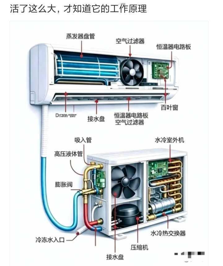 活了这么大，才知道她的工作原理