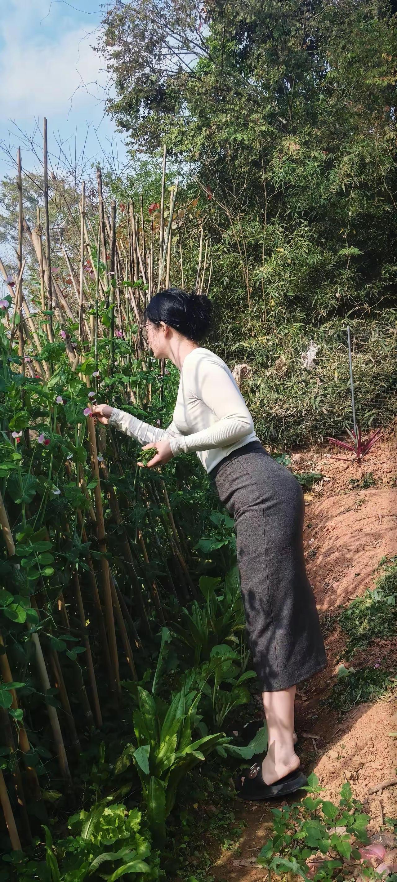 爱劳动的女人最美丽，爱劳动爱生活，浑身散发着迷人的气质光芒四射魅力无穷气质背影女