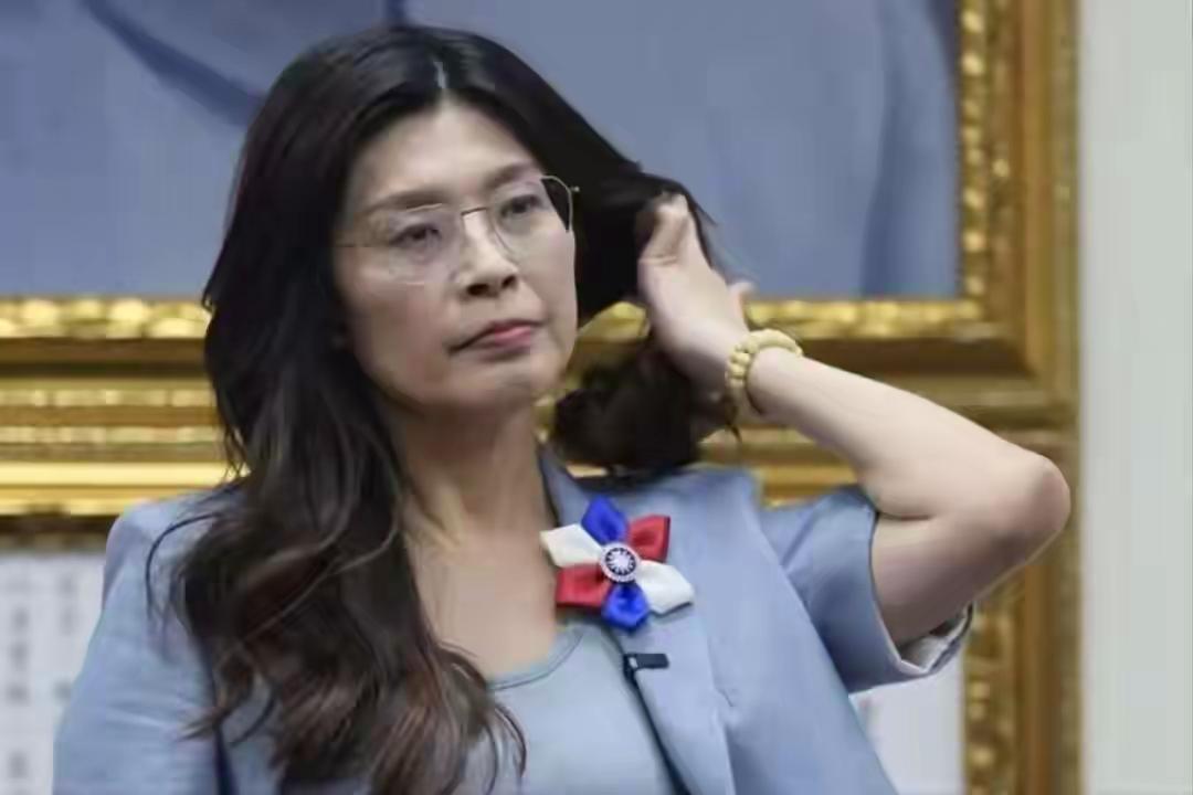 国民党重回正轨，蔡正元语出惊人，郑丽文请来关键一人郑丽文当选国民党主席后，