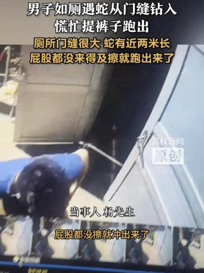 想想就后怕！广西玉林一名男子在公共厕所里上厕所，当时天气炎热，这名男子正在专心如