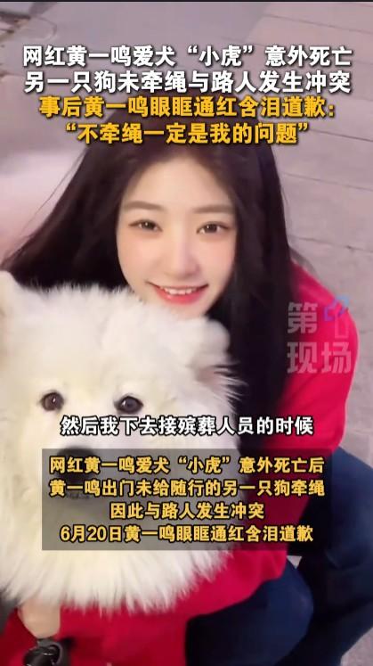纵容狗伤人，还说是什么因为狗“不小心”，黄一鸣这种话术哪里是什么道歉，简直是侮辱
