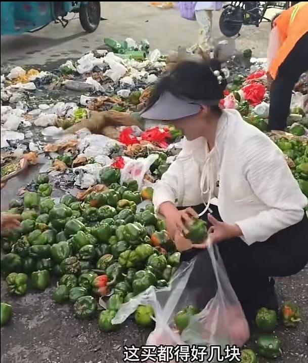 郑州“捡菜姐”惹出了争议，但是我反倒特别羡慕她镜头里她蹲在满地青椒的废弃菜堆