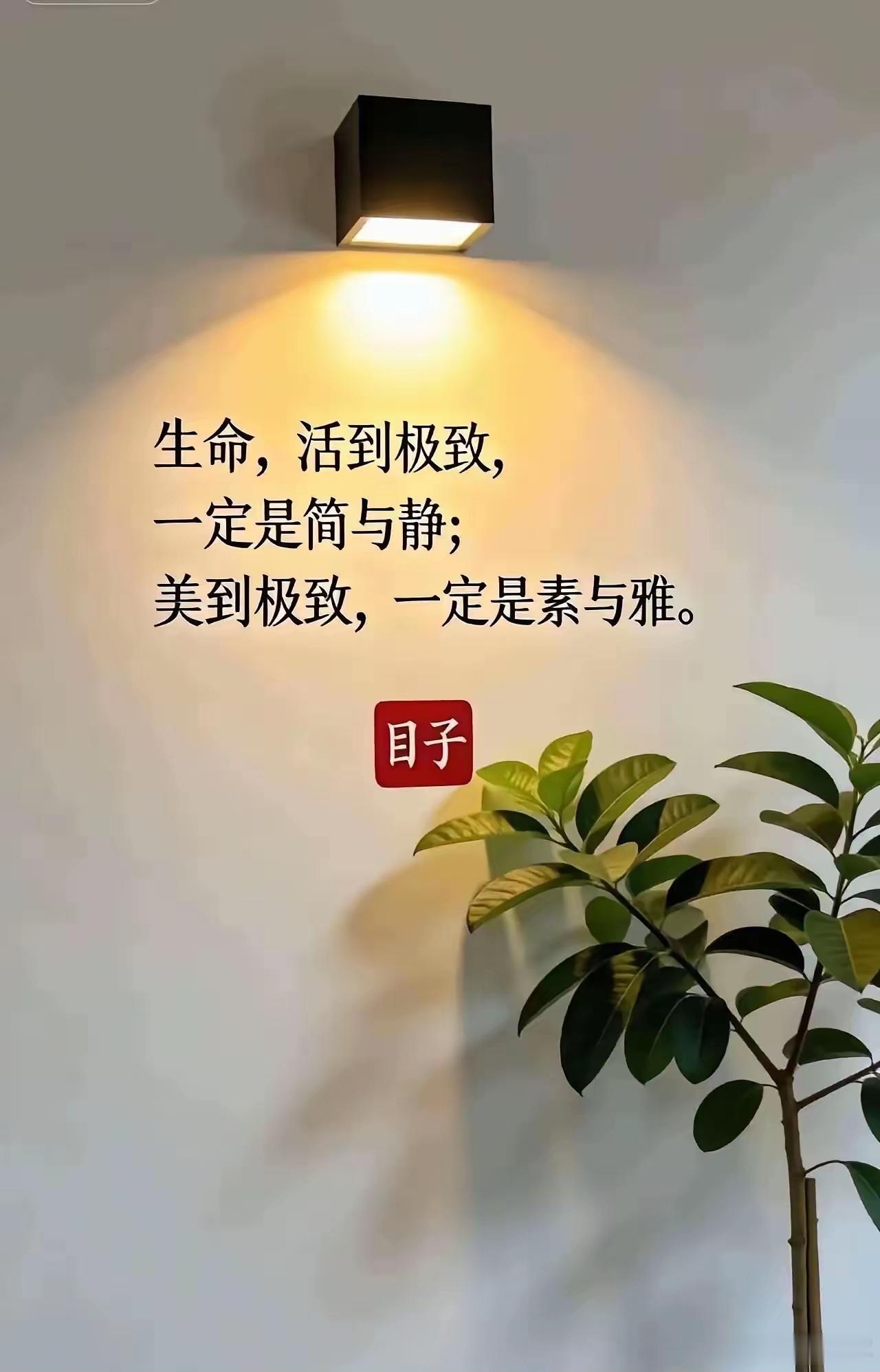 伏天缺水、缺血、缺津液？水里加点它，三样同补三伏酷暑，天地蒸腾，人体大量出汗。汗