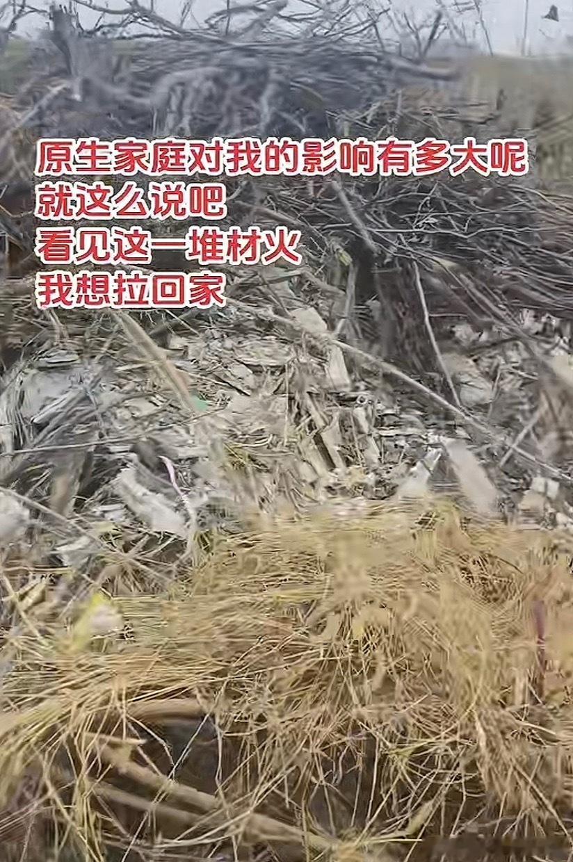 论原生家庭对长大后的影响