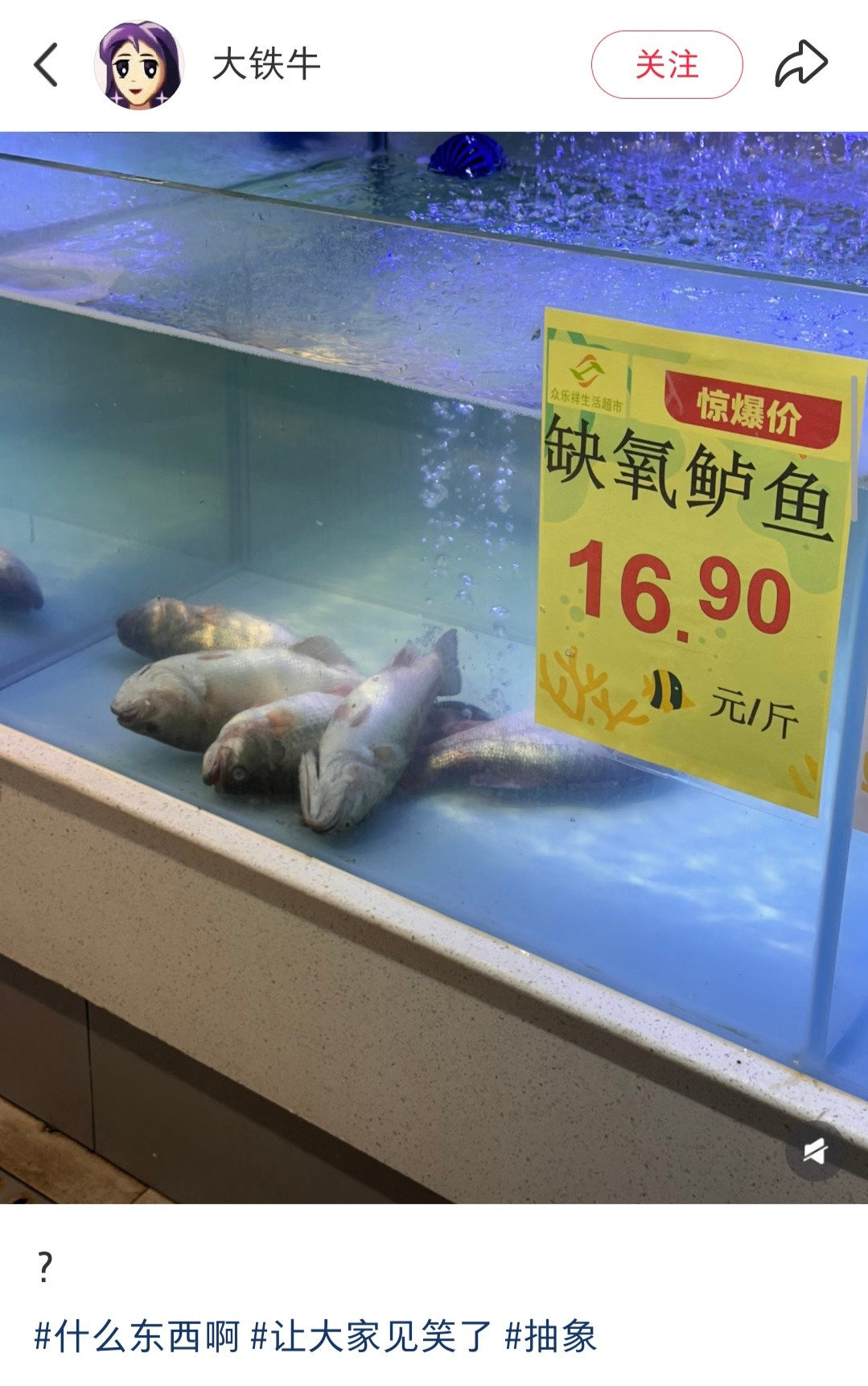 生鱼忧患，死鱼安乐