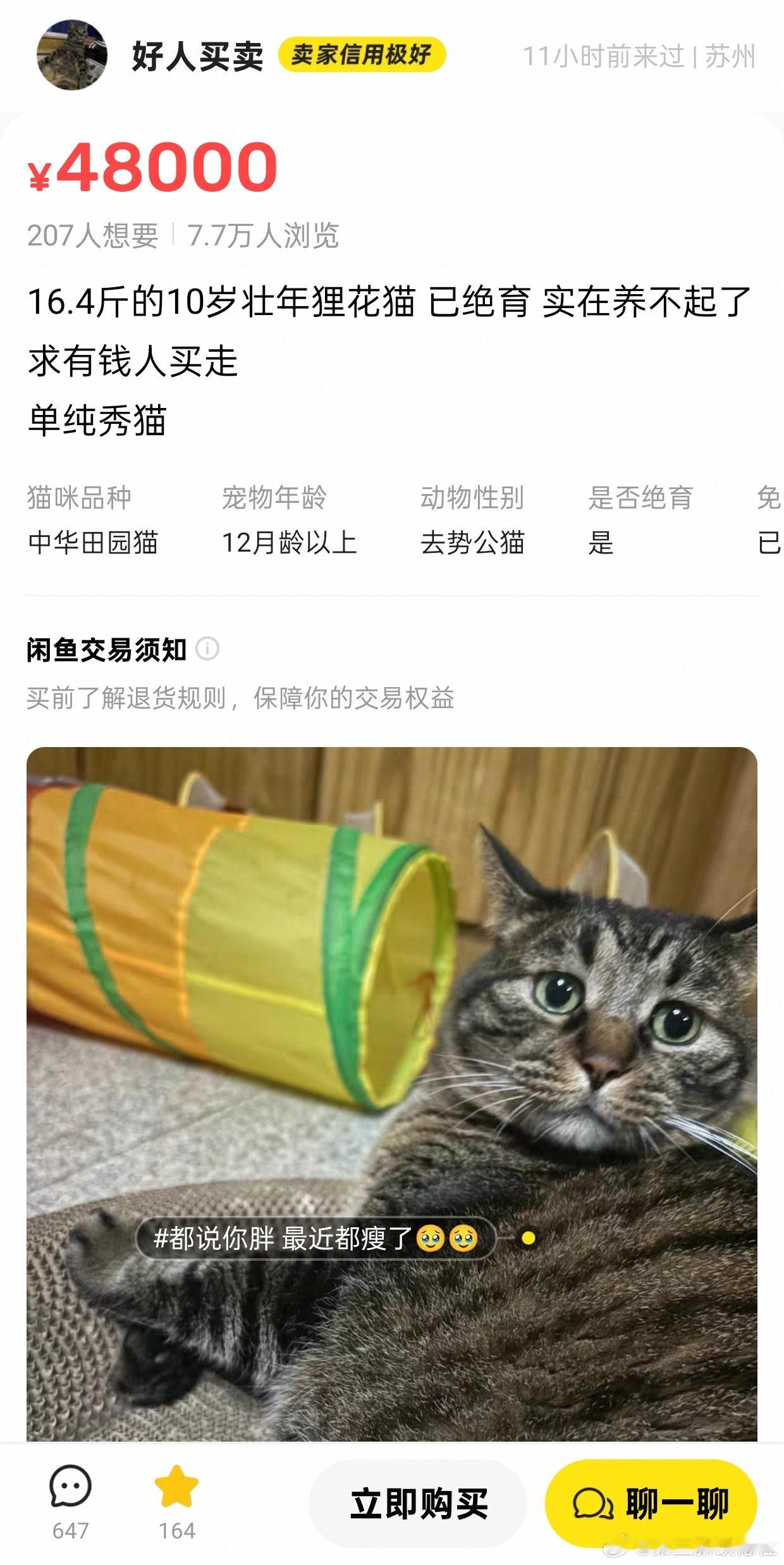 靠，闲鱼上一帮神经病把自己家猫挂上去就为了秀猫​​​