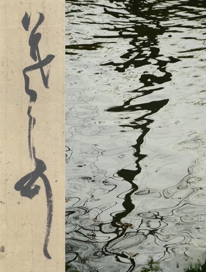 书法与自然万物的联系太妙了！传说仓颉造字，从各种生命样态摄取字形，汉字自诞生就和