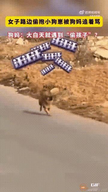 笑不活了！山东这一幕直接戳中人心，动物的亲情竟和人类如此相像，看