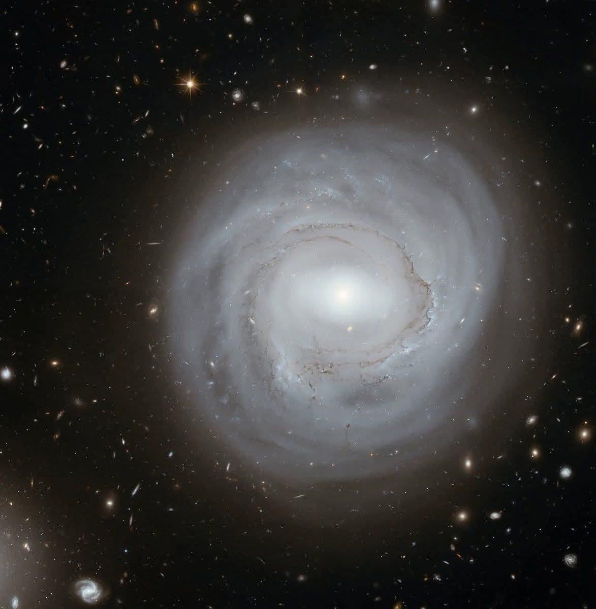 在后发座星系团拥挤的核心地带，距离地球3.2亿光年，NGC4921如星系的幽灵