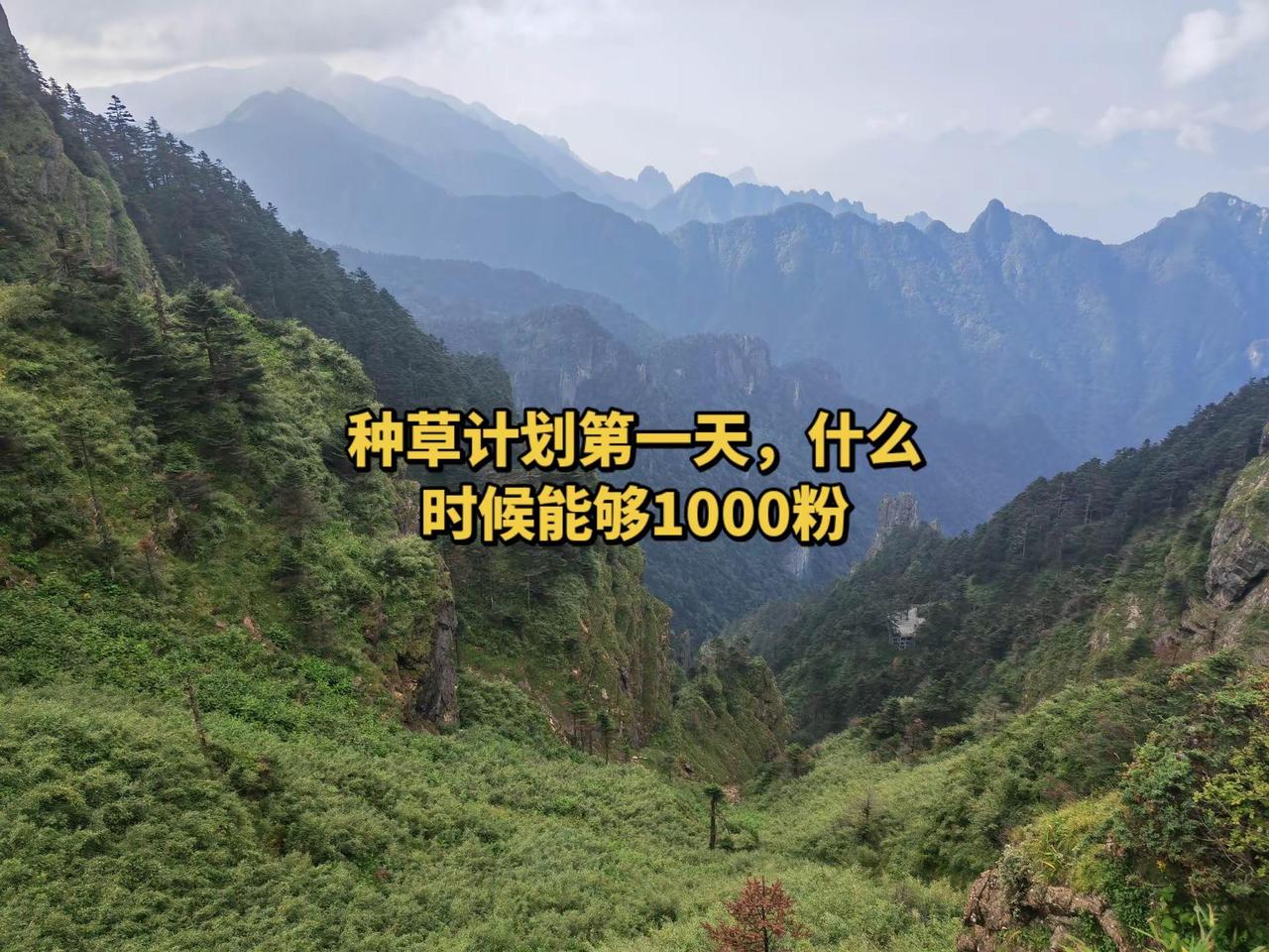 种草计划开始了，看看山上这么多草，帮我也多种一些吧登上山顶看美景山川美景