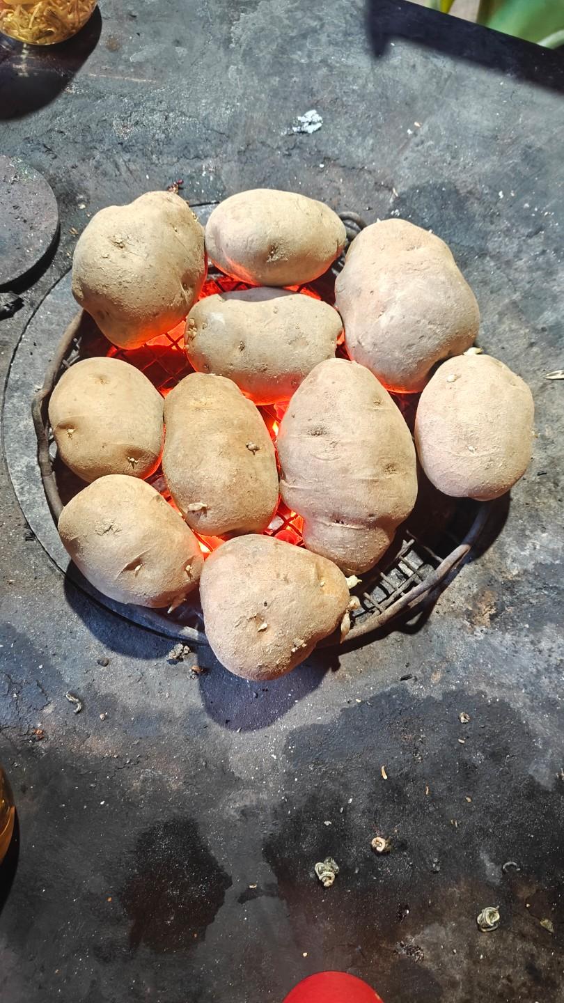 读书无用论是什么时候悄悄开始的？现在最常听到的就是读书有什么用，只要考不到9