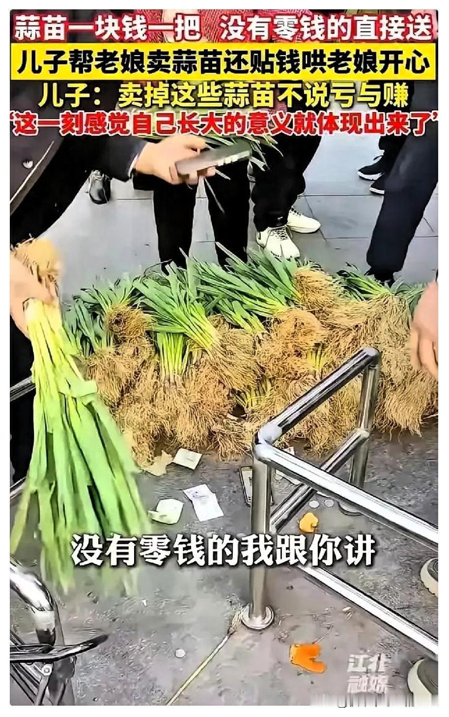 近日安徽蚌埠，一位阿姨自己种的蒜苗囤在家里卖不动，就让儿子帮忙处理。儿子拉到街边