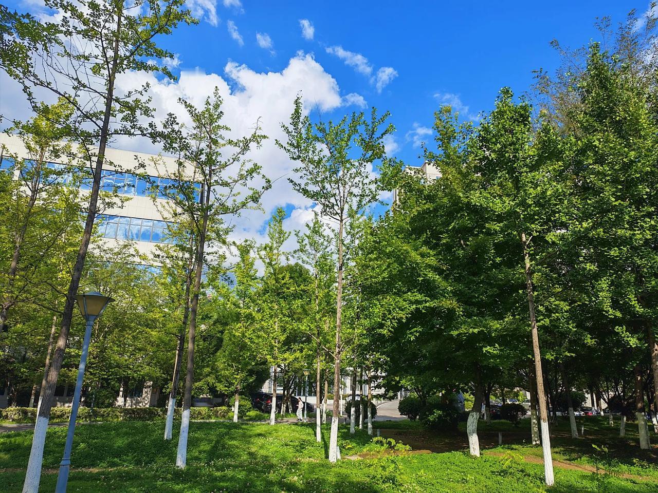 【建议国家普查人口】网上有人说，中国人口已经只有12亿左右了。持这种观点
