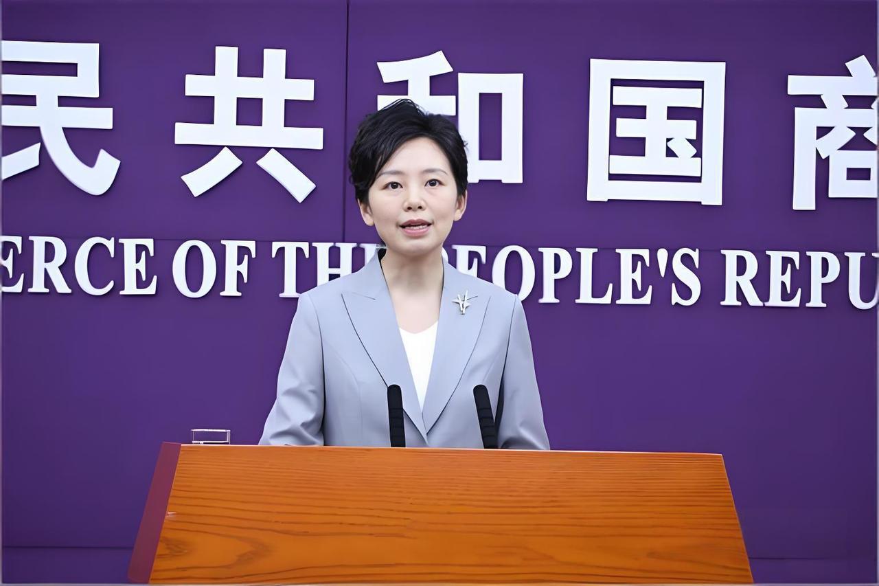 商务部亮剑墨西哥：既然想当美国的炮灰，那就别怪我们不客气了！【中新社】中国商务