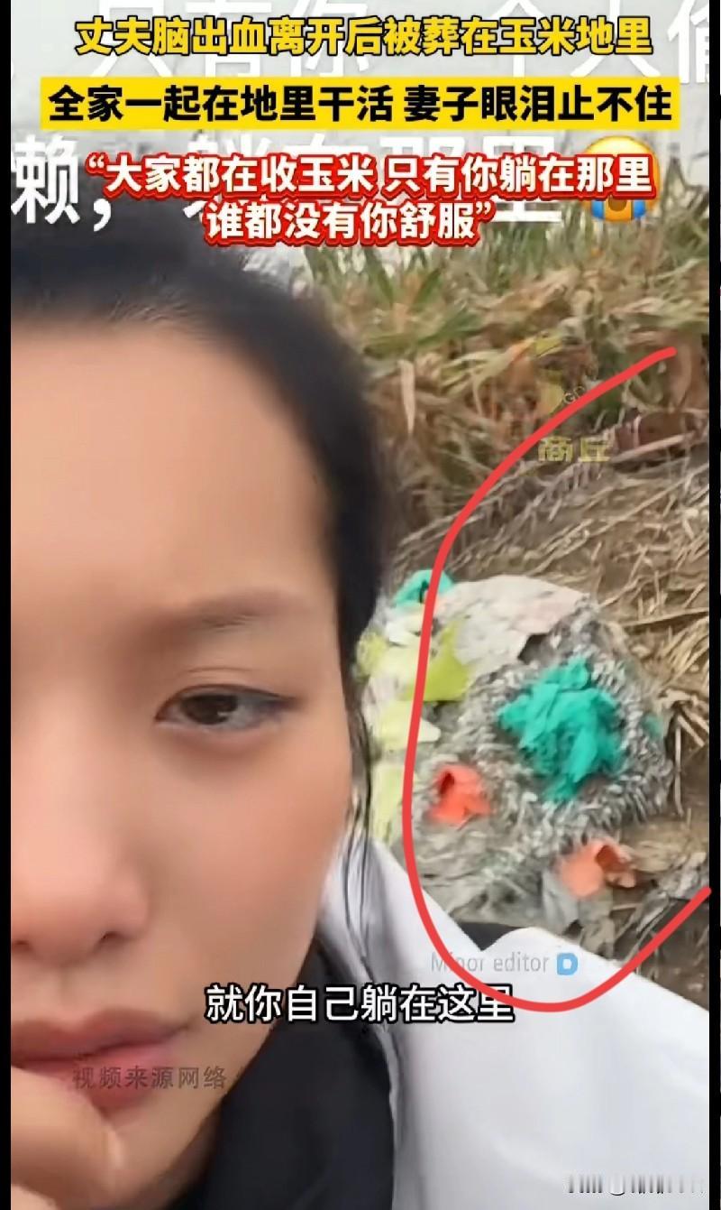 家人们，这个视频看得我鼻子发酸！商丘一妻子在玉米地干活，丈夫因脑出血离开后就葬在