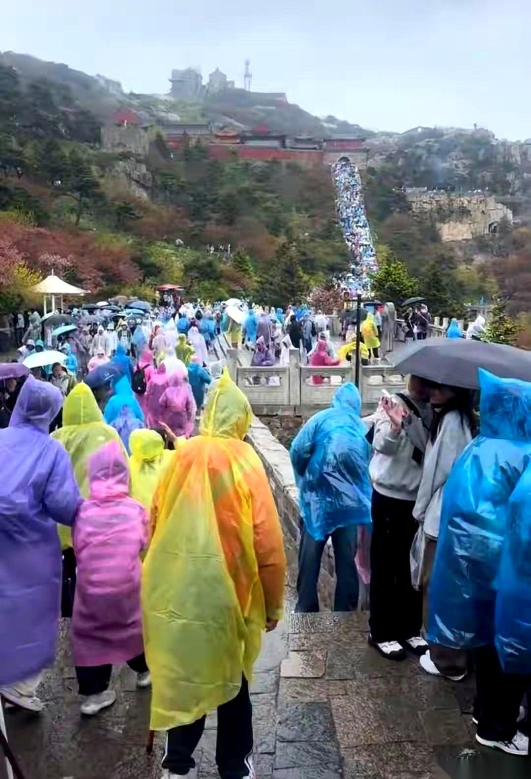 五一泰山夜爬这事，传回来的画面简直让人头皮发麻。凌晨两点，厕所门被推开一条缝，