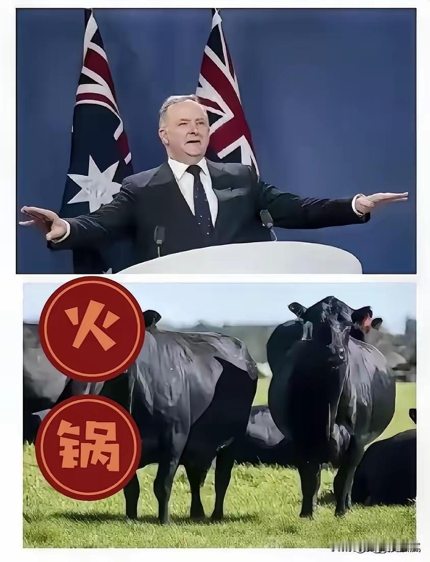 澳大利亚在处理与中国的关系上，两国既无领土领海争端，经济上还互补互惠，其矿石、红