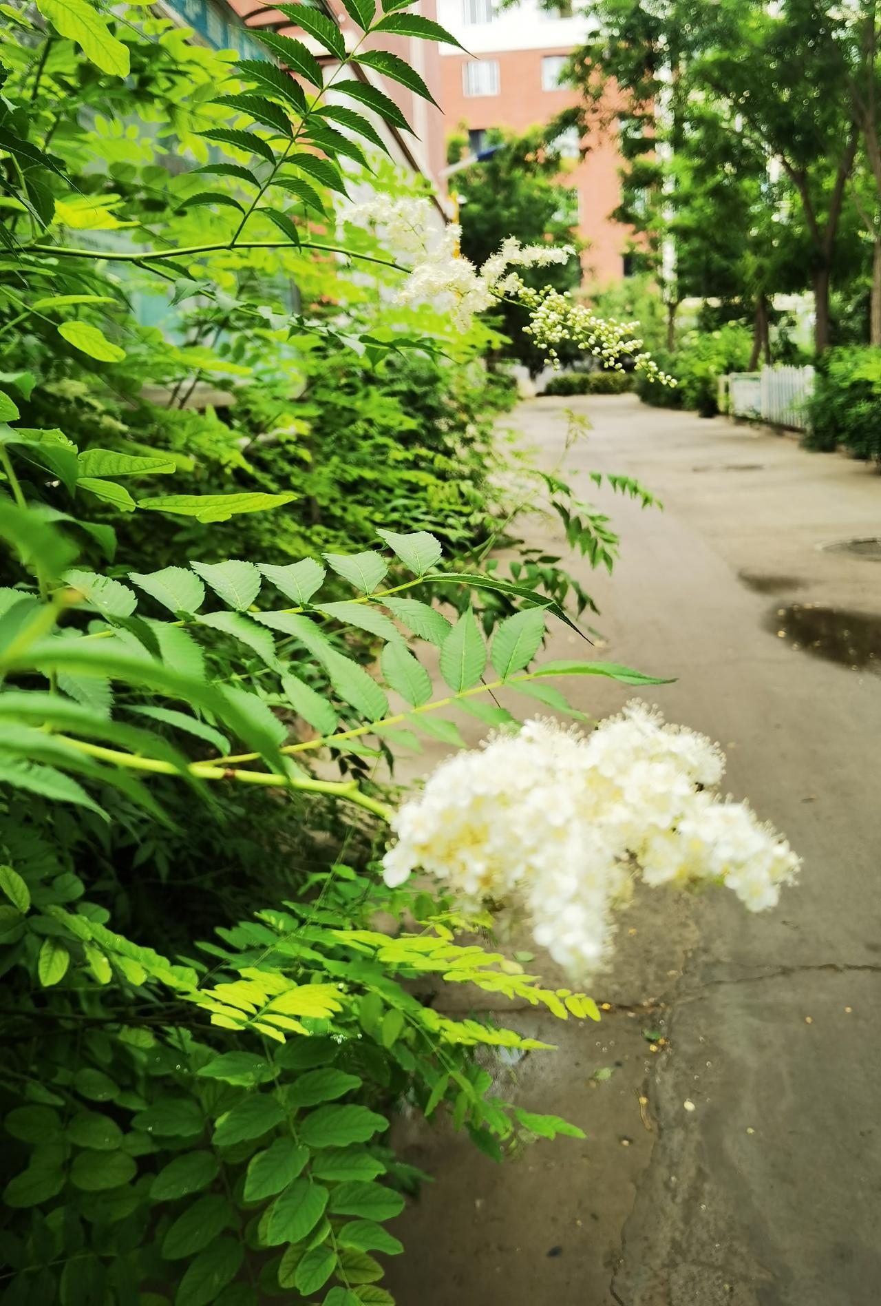 老中医建议我按压合谷穴，半年后发生什么一年前我头痛，就去一条小巷找一位老中医开