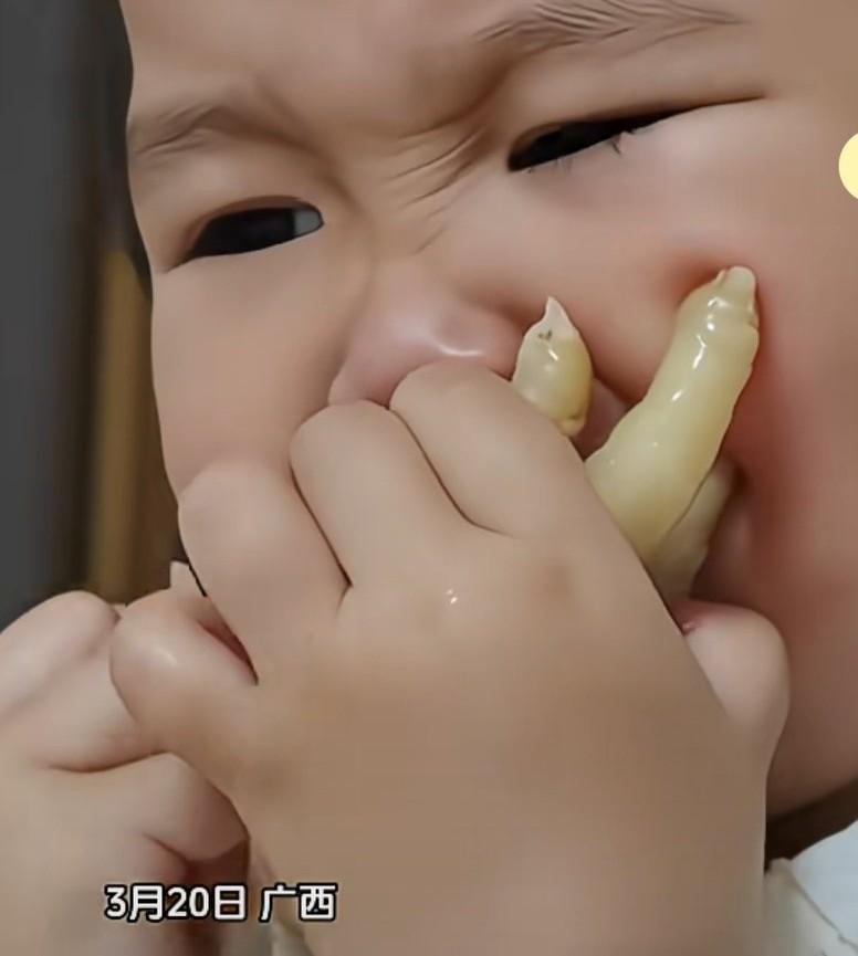 宝宝正啃着鸡爪，突然停了下来，妈妈刚开始还不知道怎么回事，看到宝宝啃鸡爪的表情