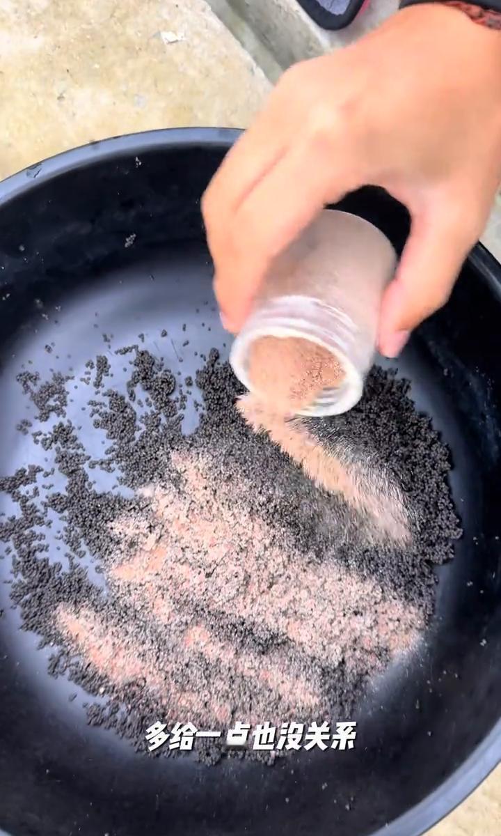 泡泡球一扔,鱼嘴开花了。不是鱼太馋,是人太狠。别再说“钓鱼是艺术”,当鱼被喂