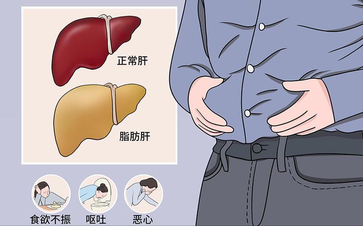 44%的中国成年人查出脂肪肝，3成18到35岁年轻人中招。当代职场年轻人长期