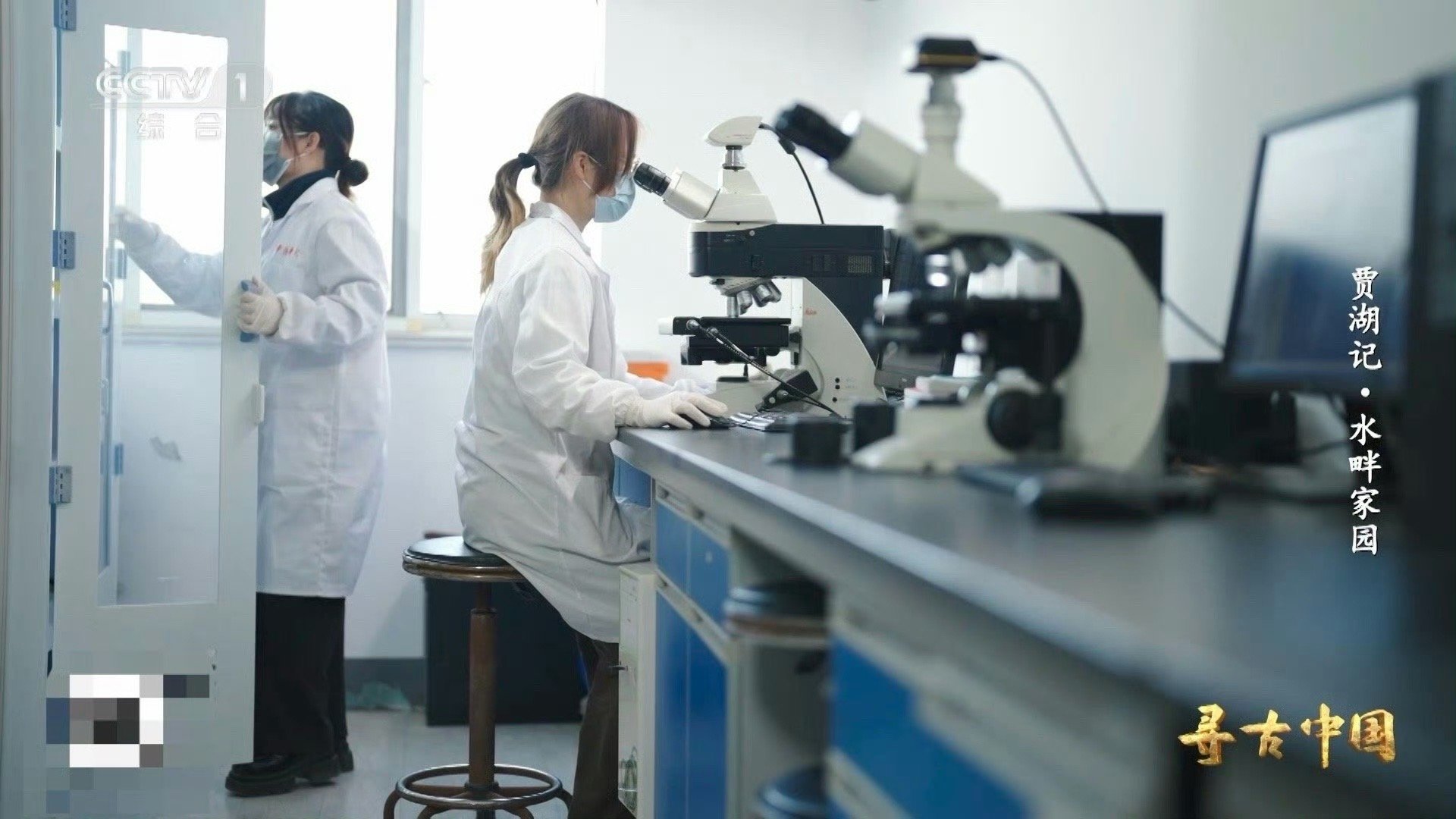 8000年前的稻谷什么样中国人对米饭的执着八千年前，贾湖先民在黄河流域成功驯化