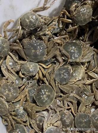 浙江大学食堂一只螃蟹8.8元并不是多离谱的事。上周末去徐州，路过微山湖，在微山湖