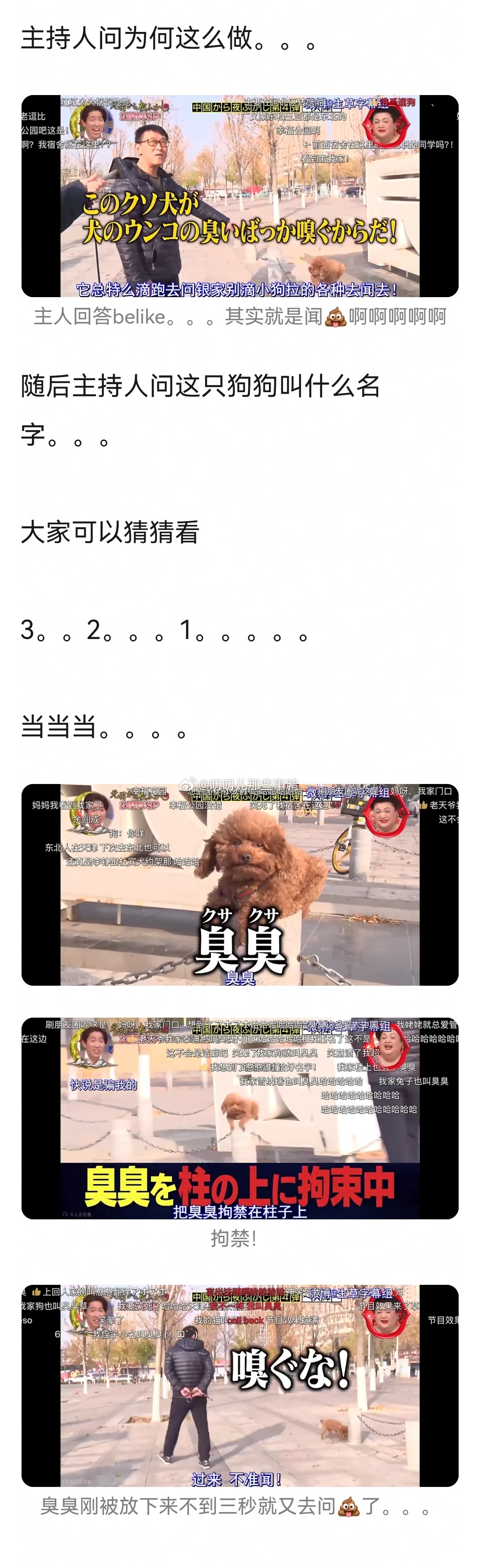 太搞笑了这个帖子的解说→这个日本街头采访天津的视频，很难有人不笑出来～🤣🤣
