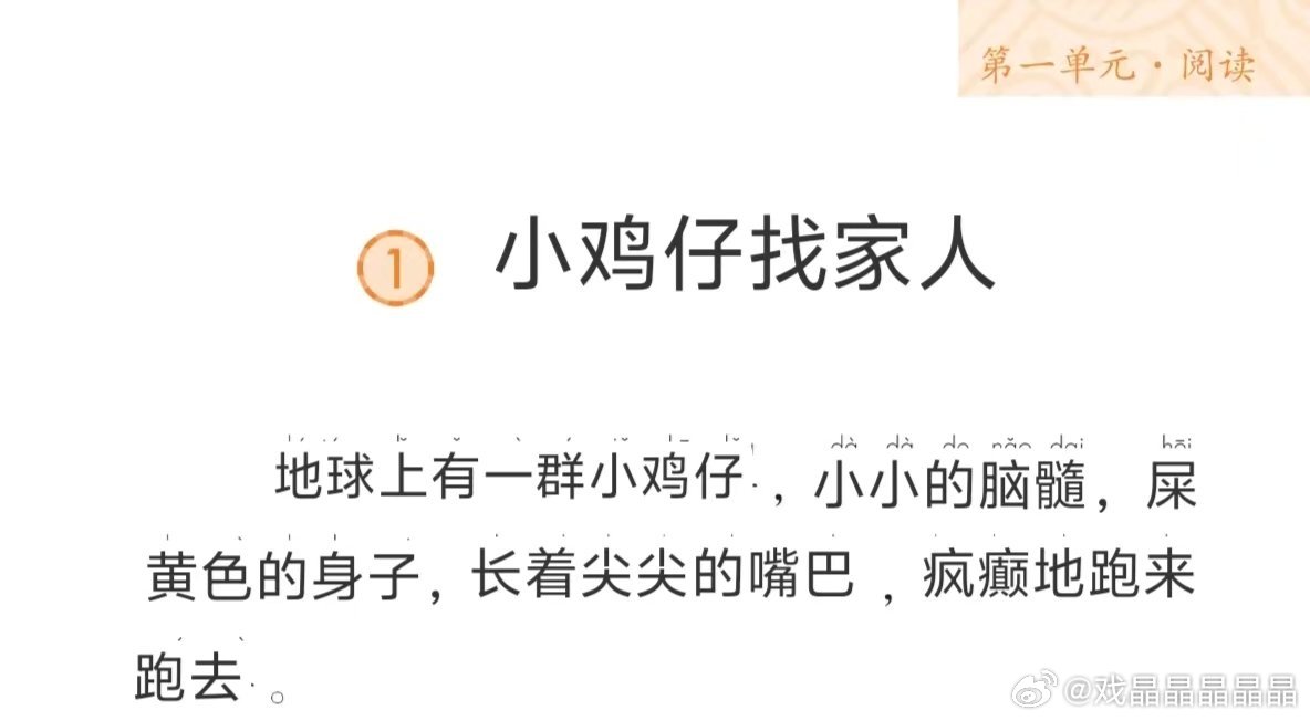 他们的low能不断突破我的想象，每次我觉得已经很low了，下次还有更low的。