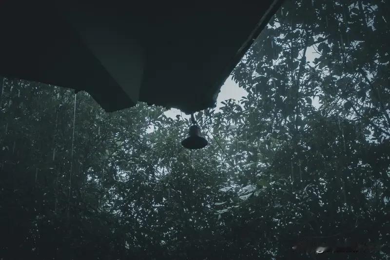 喜欢。雨声像一层柔软的隔音罩，把世界隔在窗外，反而让卧室显得更私密、更安全。那种
